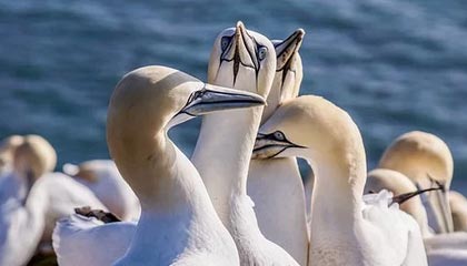 意超杯裁判判完就走？转会流言背后还有一段，开云直播：队友反应让人心凉