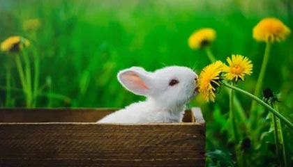 布莱顿赛后有人开麦，队内矛盾直指体能教练：后续反转太快