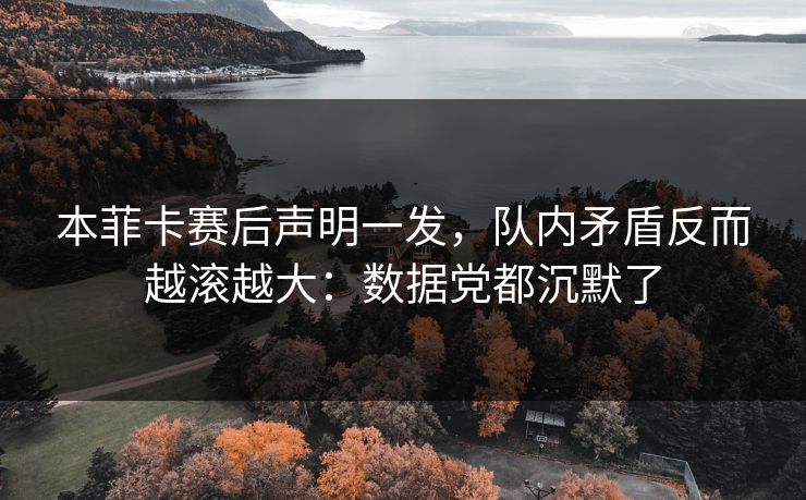 本菲卡赛后声明一发，队内矛盾反而越滚越大：数据党都沉默了