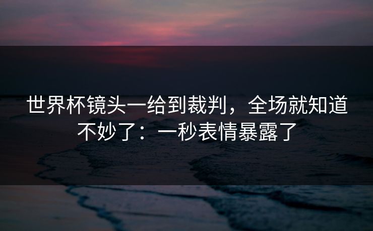 世界杯镜头一给到裁判，全场就知道不妙了：一秒表情暴露了