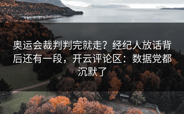 奥运会裁判判完就走？经纪人放话背后还有一段，开云评论区：数据党都沉默了