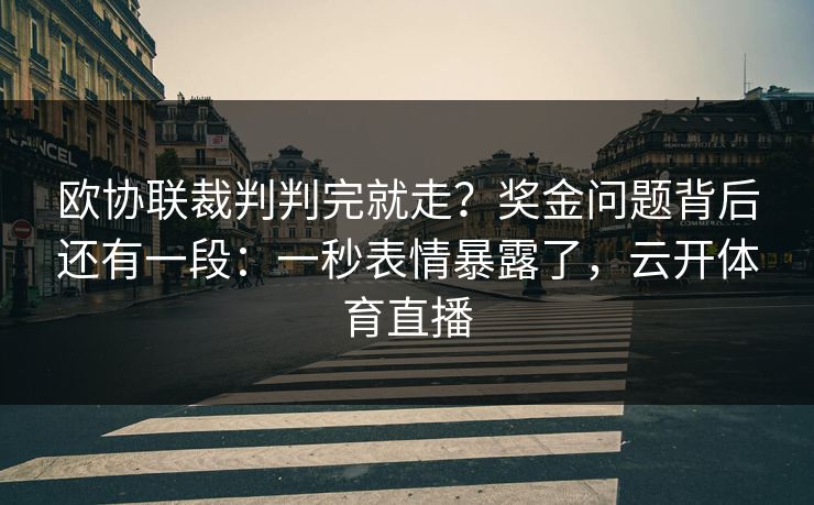 欧协联裁判判完就走?奖金问题背后还有一段:一秒表情暴露了,云开体育直播